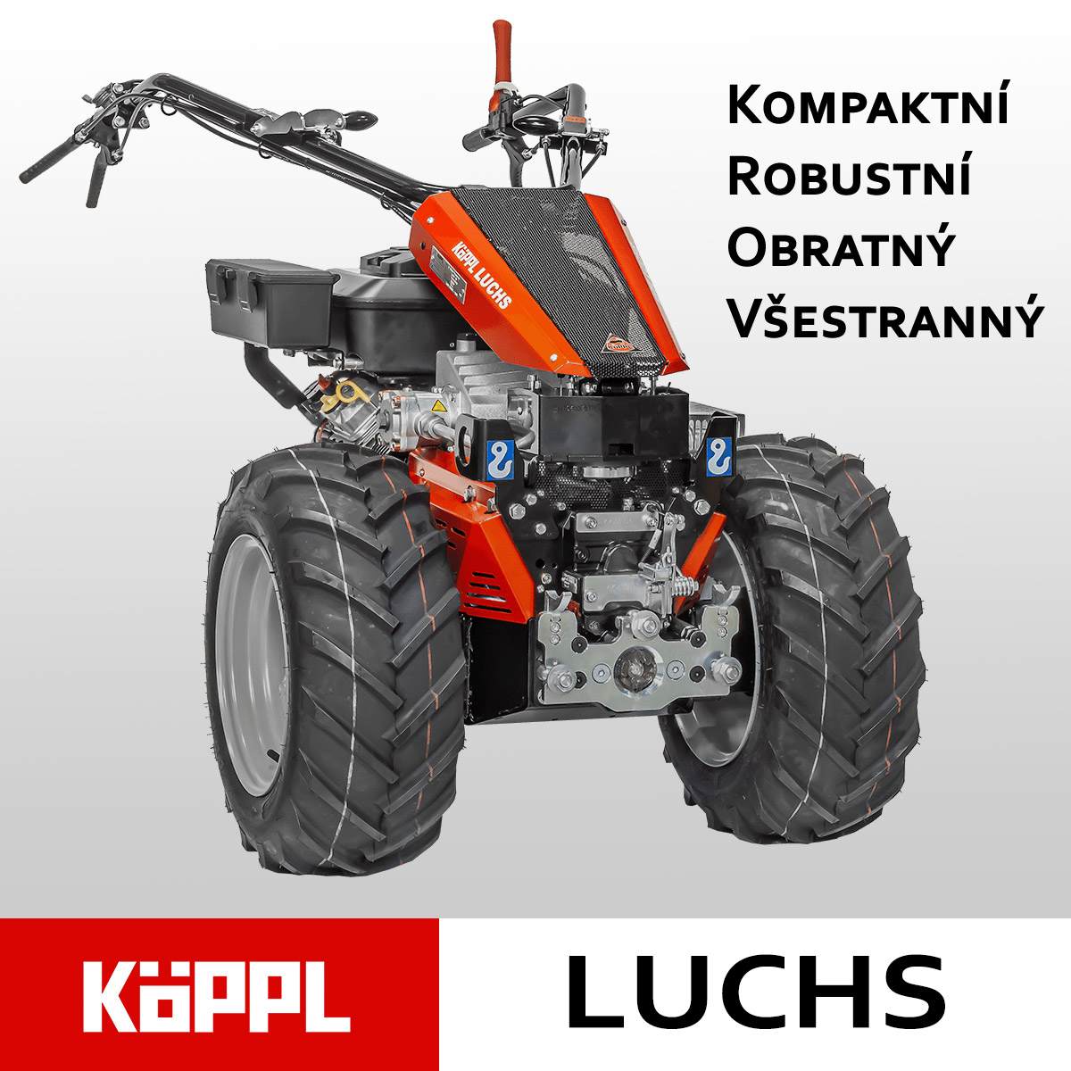 Köppl Luchs